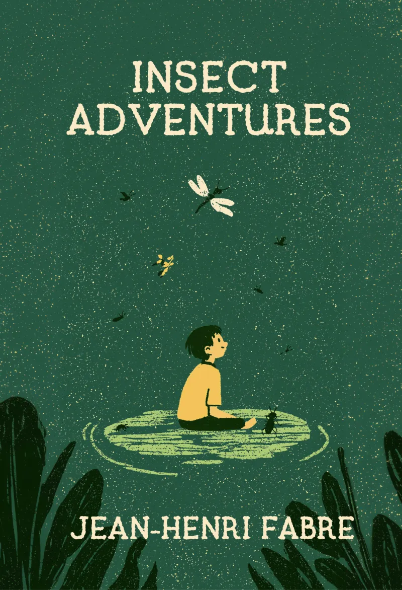 Insect Adventures